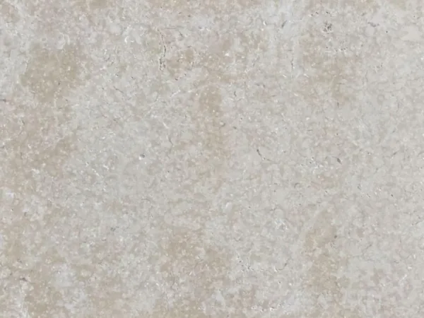 Savona Limestone Close up
