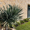 Tuscan Wall Stone Cladding - Image 2